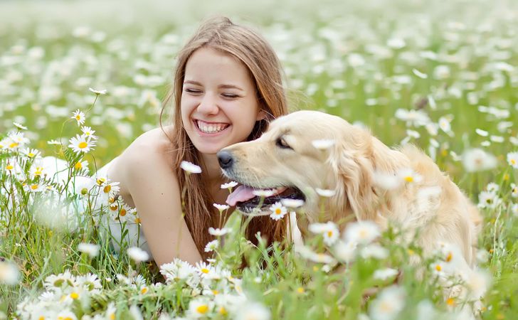 犬と仲良くなるコツ