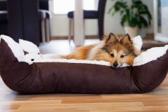 犬用ベッドとマット