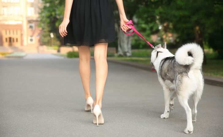 犬の歩き方がおかしいときに注意したい病気