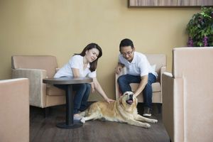 マナーを守って犬と楽しくカフェ