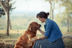 犬に好かれる人