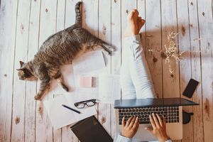 猫と仲良くなる