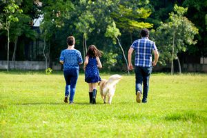 犬の感情表現が豊かな理由