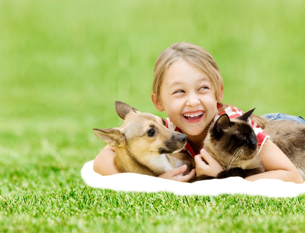 little girl with a dog and a cat on a green grass
