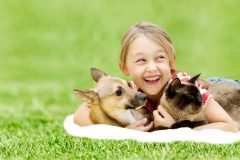 little girl with a dog and a cat on a green grass