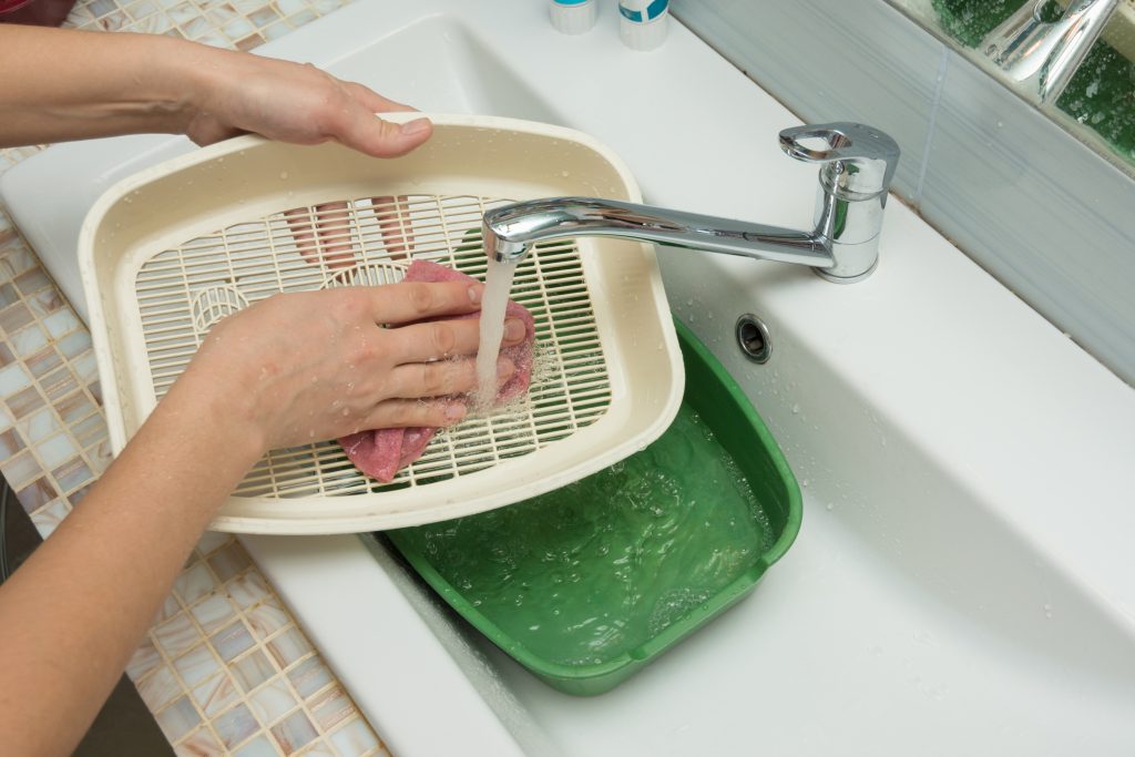 The girl washes the cat tray in the sink