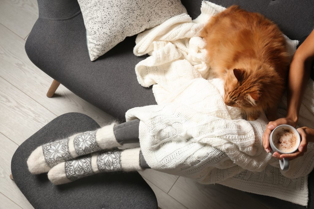 Woman with cute red cat and coffee on grey sofa at home, top view