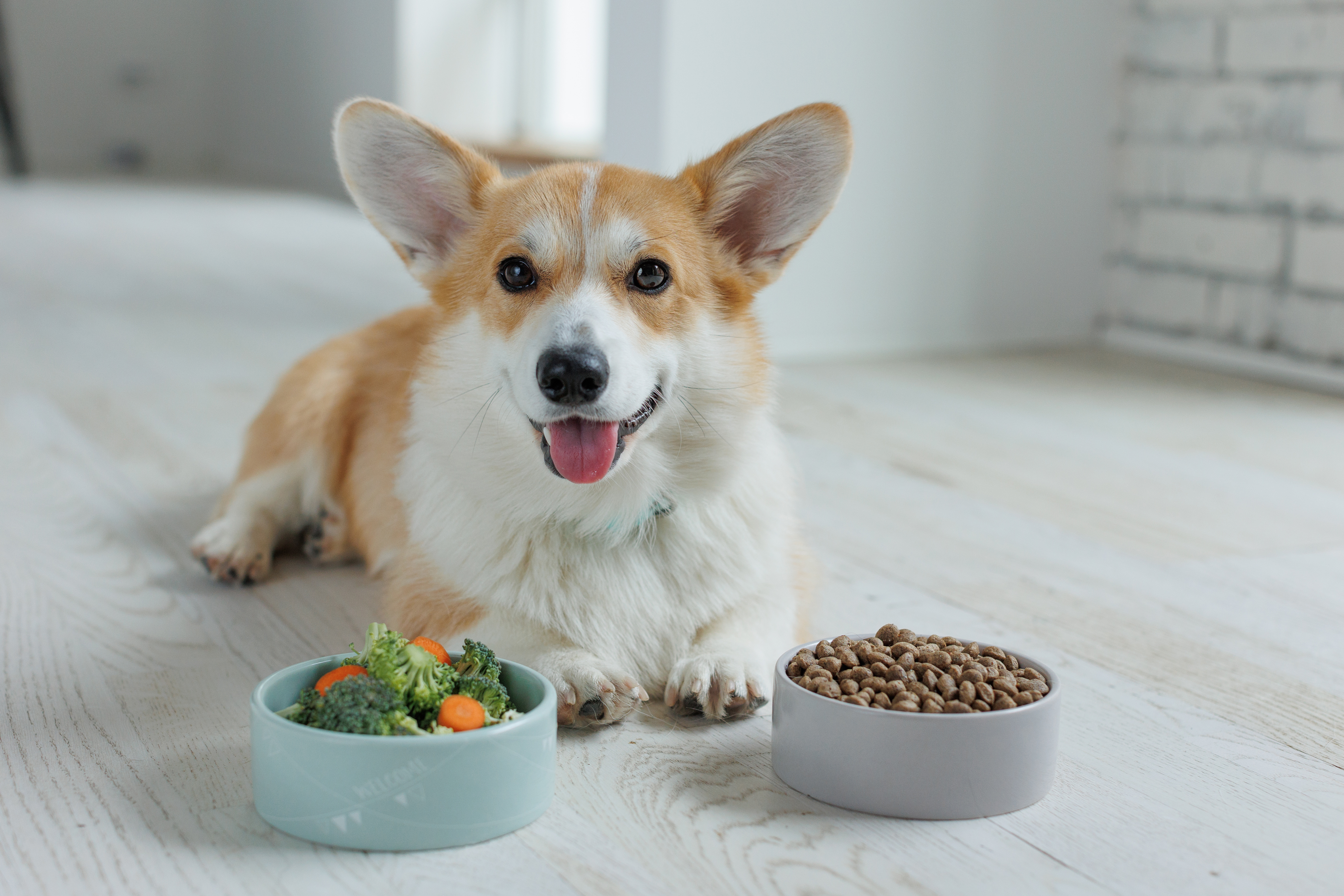 AdobeStock_608206981