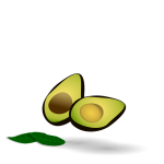 avocado-1439294_640