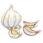 garlic